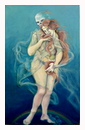 metamorphose.jpg